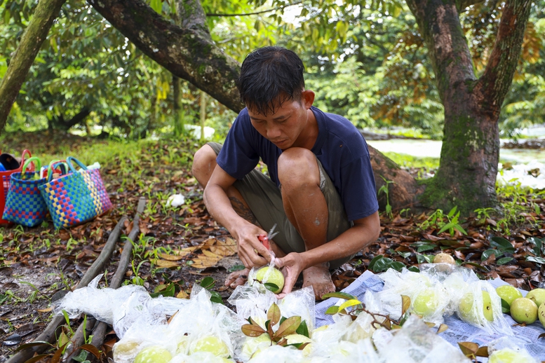 Áp thuế VAT cho phân bón: Câu chuyện Doanh nghiệp và nông dân ngồi chung "một thuyền"
- Ảnh 1.