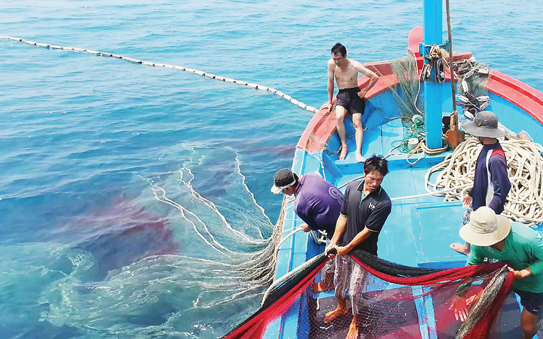 Bà Rịa-Vũng Tàu rà soát thuế, lệ phí đối với tàu cá '3 không'