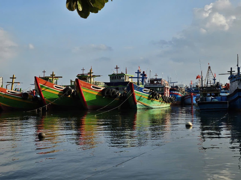 Quảng Nam: Để phát sinh tàu cá "3 không", lãnh đạo địa phương phải chịu trách nhiệm- Ảnh 2.