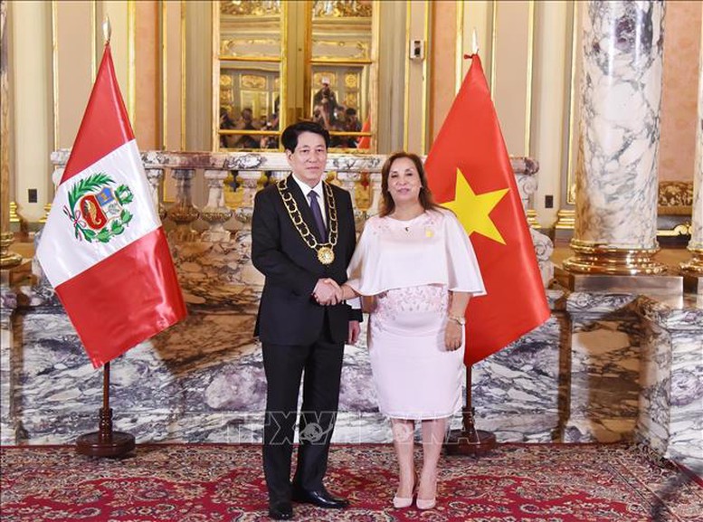 Tổng thống Peru trao tặng Huân chương 'Mặt trời Peru' cho Chủ tịch nước Lương Cường- Ảnh 2.