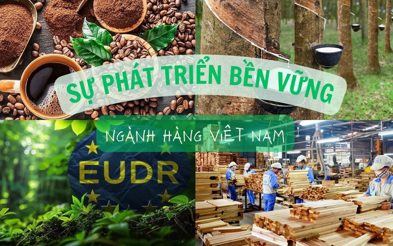 Hành động cho chính sự phát triển bền vững của các ngành hàng Việt Nam
