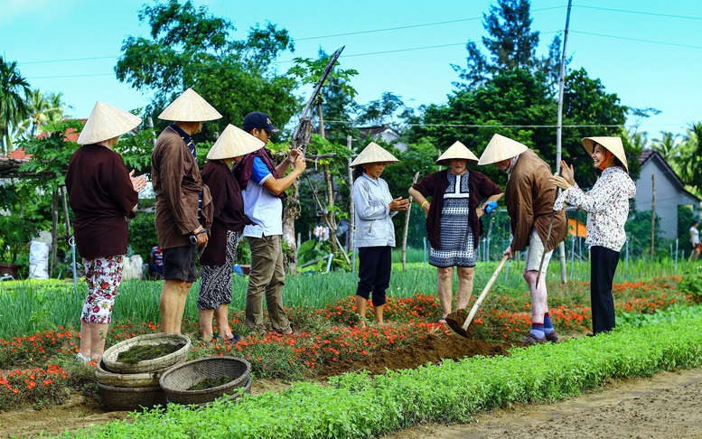 Làng rau Trà Quế được công nhận 