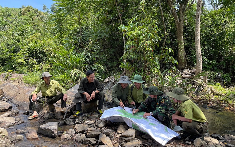 Công nghệ là một trong những yếu tố then chốt để bảo vệ, phát triển rừng bền vững