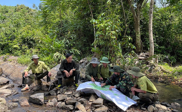 Công nghệ là một trong những yếu tố then chốt để bảo vệ, phát triển rừng bền vững- Ảnh 1.