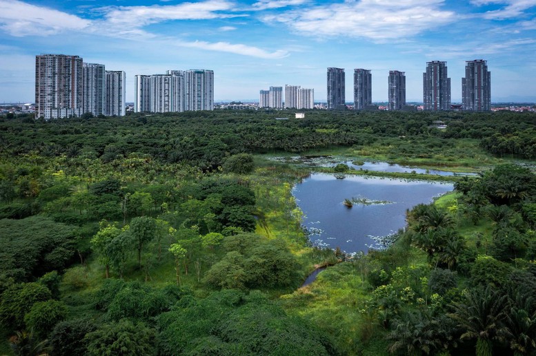 Nhà sáng lập Ecopark nhận cú đúp giải thưởng tại Việt Nam PropertyGuru 2024- Ảnh 3.