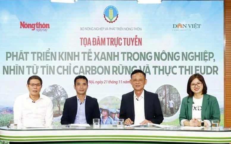 Carbon cây rừng hấp thụ là nguồn tài chính bền vững