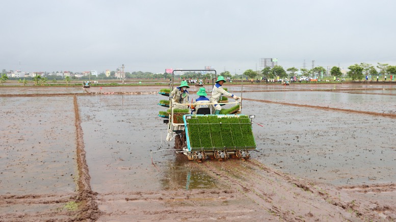 Hà Nội: Nâng cao giá trị sản xuất từ phát triển nông nghiệp công nghệ cao- Ảnh 1.