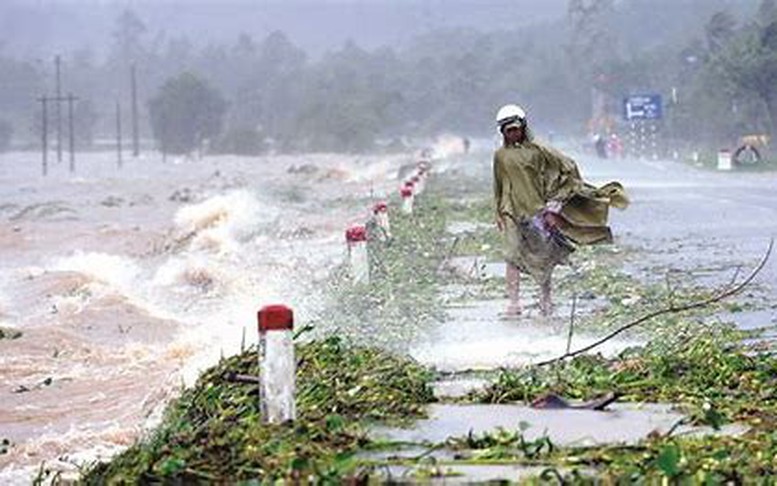 Hạn chế thiệt hại thiên tai: Kinh nghiệm từ Nhật Bản