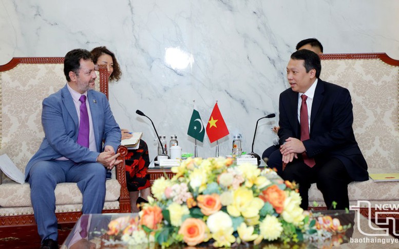 Thái Nguyên thúc đẩy ký thỏa thuận xuất khẩu chè sang Pakistan