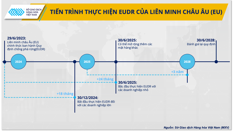 Giá cà phê sẽ ra sao sau quyết định thời điểm thực thi EUDR của EU?- Ảnh 3.