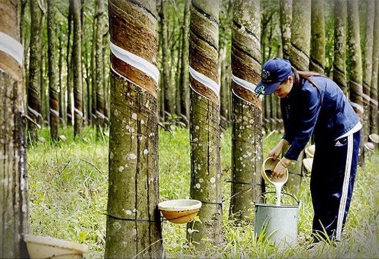 Duy trì vị thế ngành cao su trong chuỗi cung ứng toàn cầu- Ảnh 1.