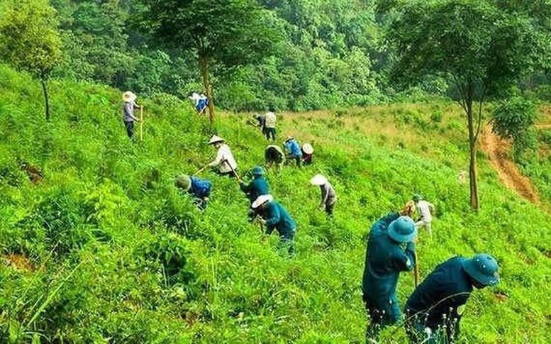 Nguồn thu từ dịch vụ môi trường rừng có phải vốn đầu tư công?