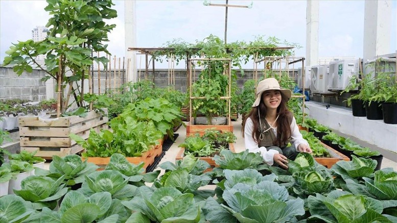 Phân Bón Cà Mau bắt nhịp xu hướng nông nghiệp đô thị- Ảnh 2. Phân Bón Cà Mau bắt nhịp xu hướng nông nghiệp đô thị- Ảnh 2.