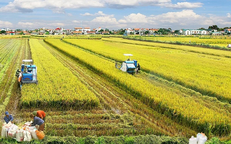 Đề xuất kéo dài miễn thuế sử dụng đất nông nghiệp đến hết ngày 31/12/2030