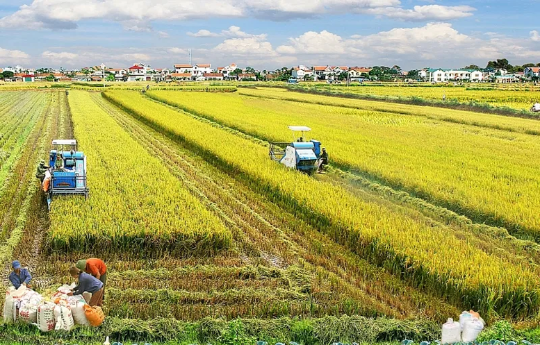 Đề xuất kéo dài miễn thuế sử dụng đất nông nghiệp đến hết ngày 31/12/2030- Ảnh 1.