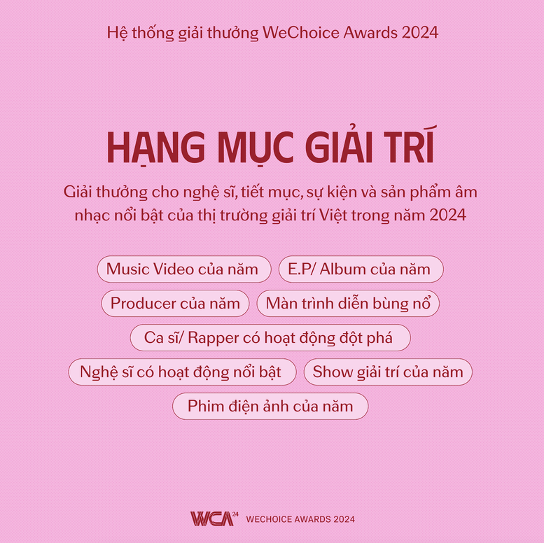 WeChoice Awards 2024: 'Việt Nam tôi đó'- Ảnh 3.