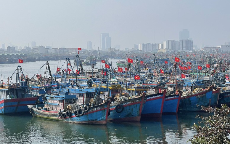 Đà Nẵng hoàn thành xử lý tàu cá '3 không'