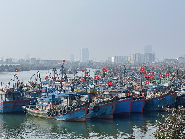 Đà Nẵng hoàn thành xử lý tàu cá '3 không'- Ảnh 1.