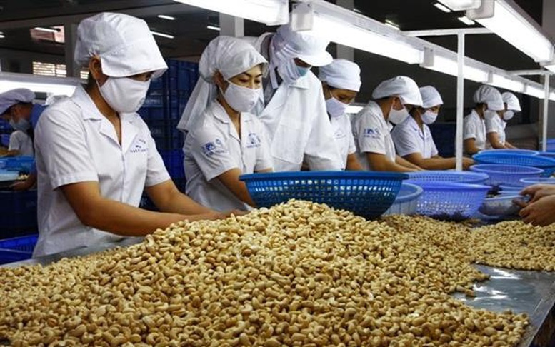 Xuất khẩu hạt điều đạt mốc kỷ lục mới