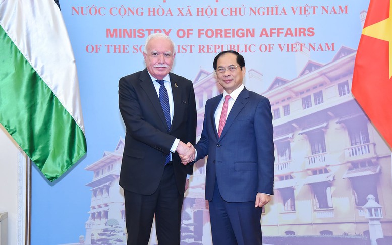 Phó Thủ tướng Bùi Thanh Sơn tiếp ông Riad Malki, Cố vấn đối ngoại, Đặc phái viên của Tổng thống Palestine Mahmoud Abbas