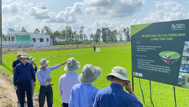 Nông nghiệp Việt Nam: Đảm bảo an ninh lương thực, mở rộng thị trường xuất khẩu- Ảnh 2. Nông nghiệp Việt Nam: Đảm bảo an ninh lương thực, mở rộng thị trường xuất khẩu- Ảnh 2.