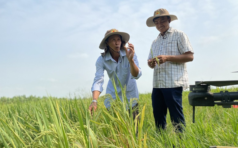 Sử dụng thuốc BVTV sinh học cần nâng cao kiến thức đồng bộ cho người nông dân