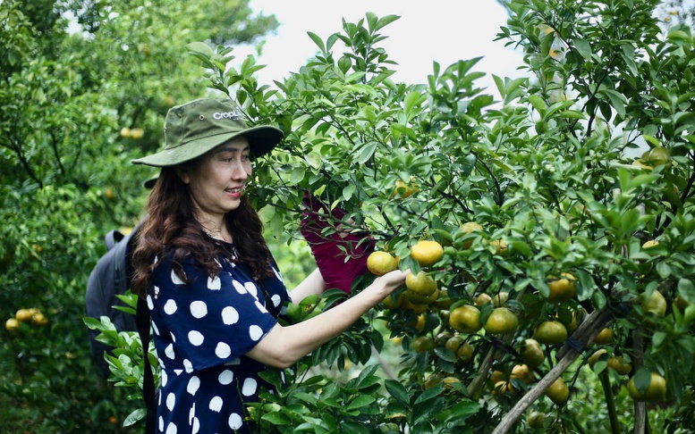 Nông nghiệp Việt Nam: Đảm bảo an ninh lương thực, mở rộng thị trường xuất khẩu