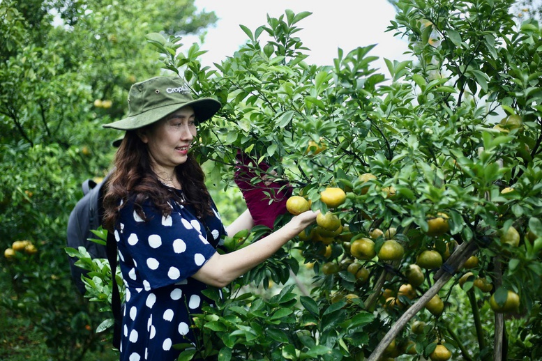 Nông nghiệp Việt Nam: Đảm bảo an ninh lương thực, mở rộng thị trường xuất khẩu- Ảnh 1.