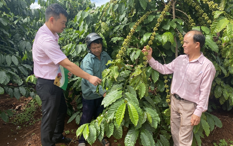 Gia Lai: Hiệu quả đồng vốn nhân văn trên biên giới Chư Prông