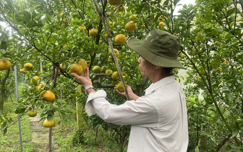 Tập trung nhiều chính sách tín dụng cho nông nghiệp