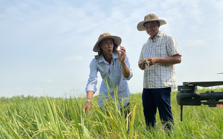 Ngành nông nghiệp cơ bản đạt và vượt các mục tiêu đề ra