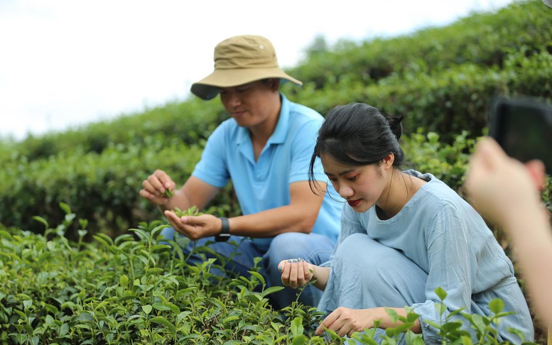 Lần đầu tiên tổ chức Hội nghị quốc tế toàn cầu về Du lịch Nông thôn tại Việt Nam