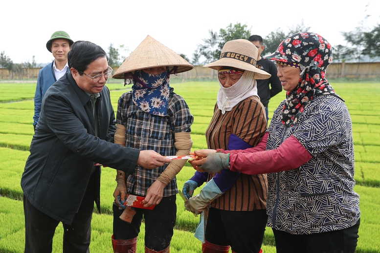 Thủ tướng xuống đồng cấy hái cùng nông dân, động viên sản xuất nông nghiệp- Ảnh 3.