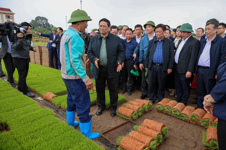 Thủ tướng xuống đồng cấy hái cùng nông dân, động viên sản xuất nông nghiệp- Ảnh 2.