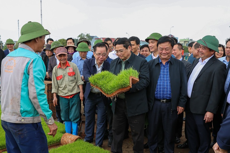 Thủ tướng xuống đồng cấy hái cùng nông dân, động viên sản xuất nông nghiệp- Ảnh 1.