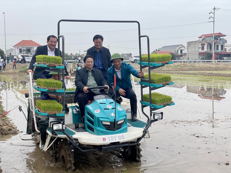 Thủ tướng xuống đồng cấy hái cùng nông dân, động viên sản xuất nông nghiệp- Ảnh 4.