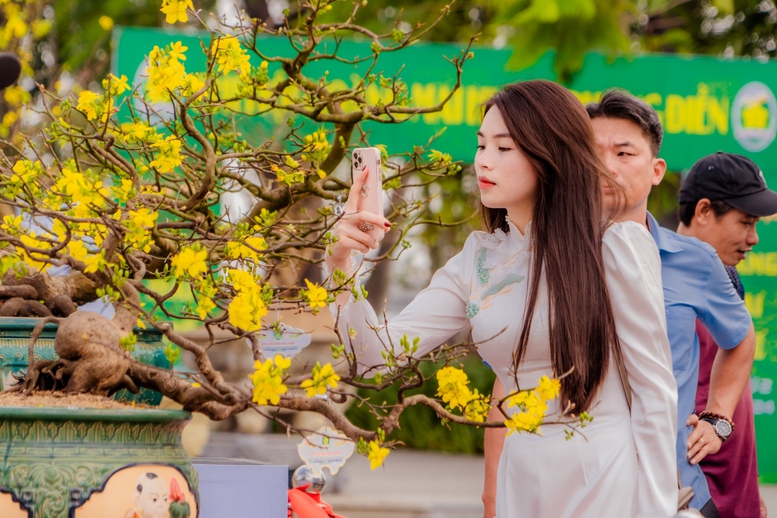 Hoàng mai Huế rực rỡ khoe sắc xuân- Ảnh 8.