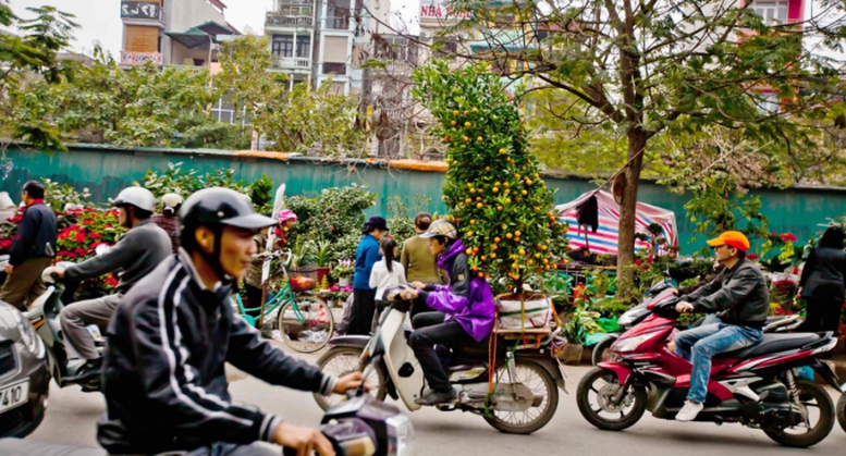Chỉ đạo, điều hành của Chính phủ, Thủ tướng Chính phủ nổi bật tuần từ 29/1-2/2/2024- Ảnh 1.