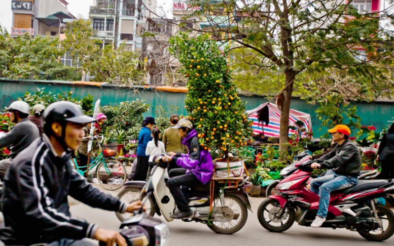 Chỉ đạo, điều hành của Chính phủ, Thủ tướng Chính phủ nổi bật tuần từ 29/1-2/2/2024