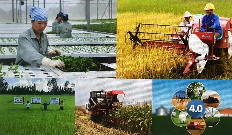 Nâng cao vai trò, hiệu quả phát triển kinh tế tập thể trong nông nghiệp của Hội Nông dân- Ảnh 1.