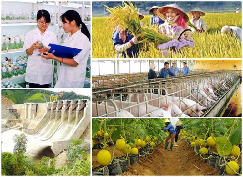 Tổng điều tra nông thôn, nông nghiệp năm 2025 gồm nội dung thông tin gì?- Ảnh 1.