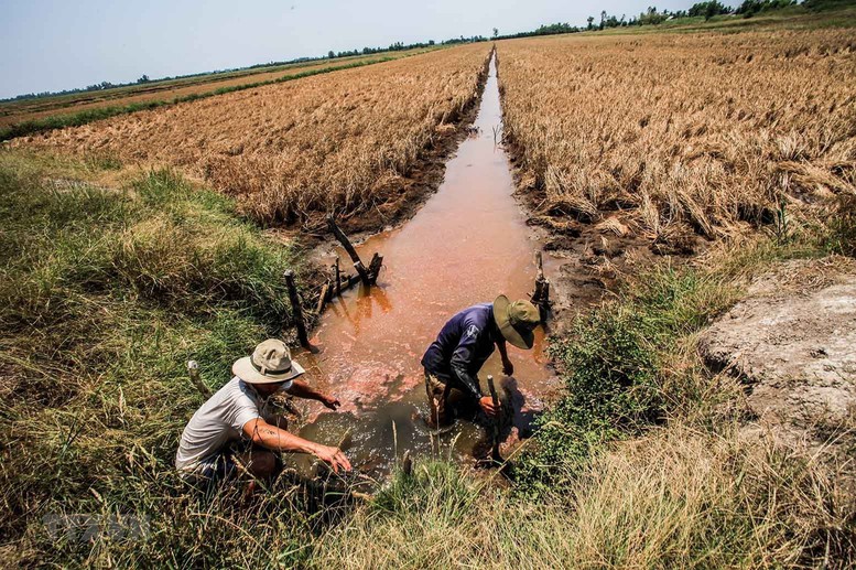 Chủ động ứng phó với xâm nhập mặn tại ĐBSCL- Ảnh 1.