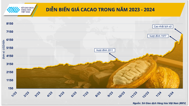 Thị trường ca cao thế giới đang tạo nên bước ngoặt mới- Ảnh 1.
