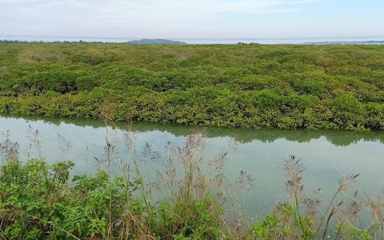 'Dòng chảy mới' cho nông nghiệp Xanh