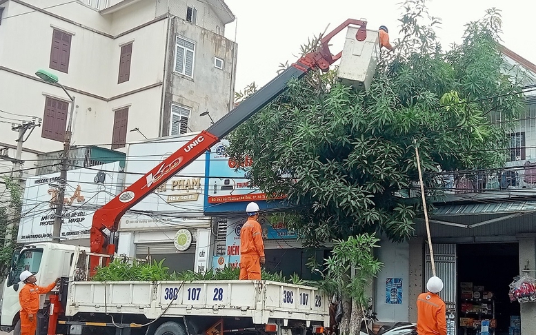 EVNNPC sẵn sàng đảm bảo cấp điện trong dịp Tết Nguyên đán và phục vụ sản xuất Đông Xuân