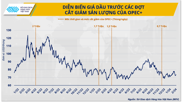 Vị thế của OPEC+ ngày càng mờ nhạt trên thị trường dầu?- Ảnh 1.