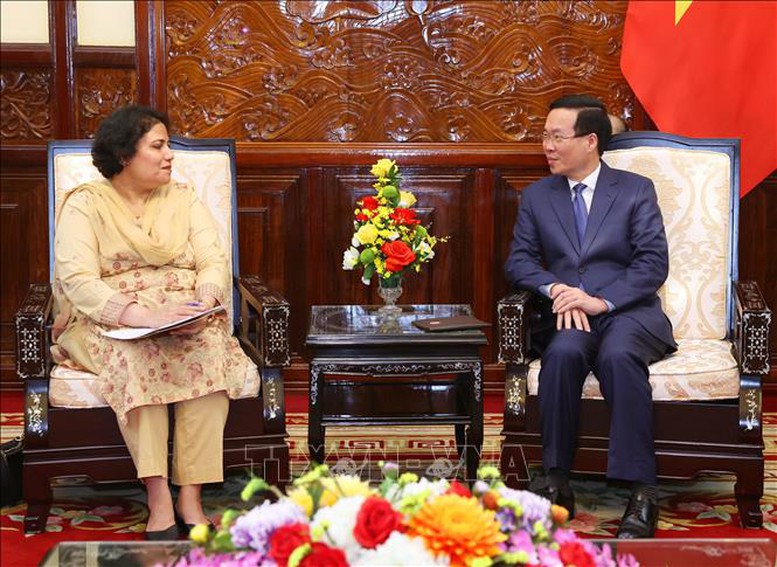 Chủ tịch nước Võ Văn Thưởng tiếp Đại sứ Pakistan- Ảnh 1. Chủ tịch nước Võ Văn Thưởng tiếp Đại sứ Pakistan- Ảnh 1.