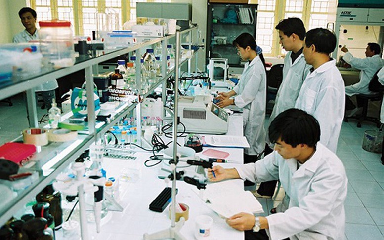 Chưa có chứng chỉ chức danh nghề có bị hủy kết quả tuyển dụng?