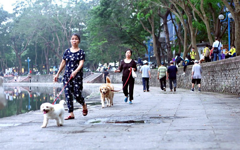 Tập trung thực hiện nghiêm công tác phòng, chống bệnh Dại