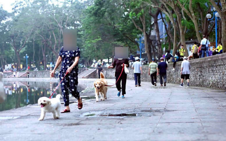 Thủ tướng Chính phủ yêu cầu tập trung thực hiện nghiêm công tác phòng, chống bệnh Dại